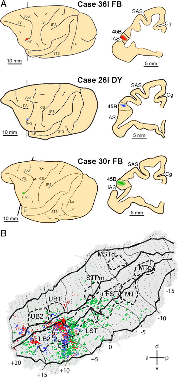 Figure 10.