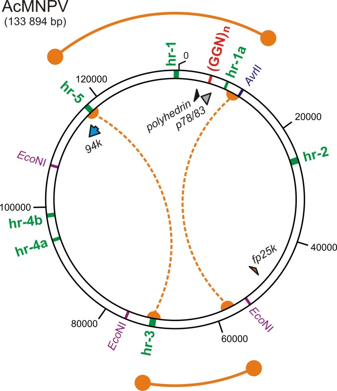 Fig 10