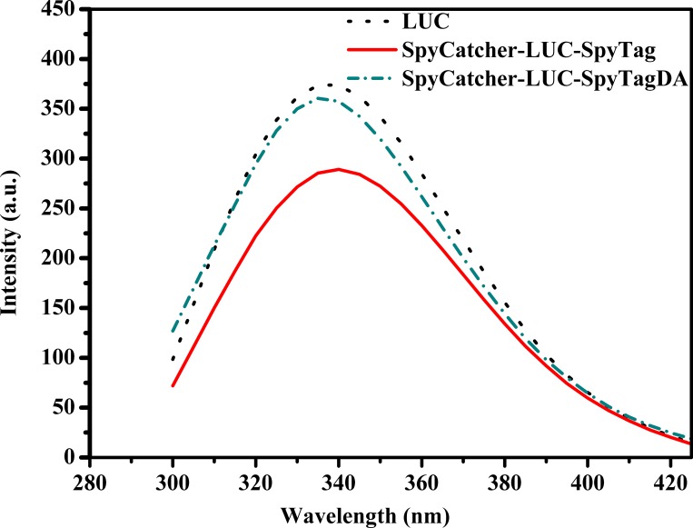 Fig 10