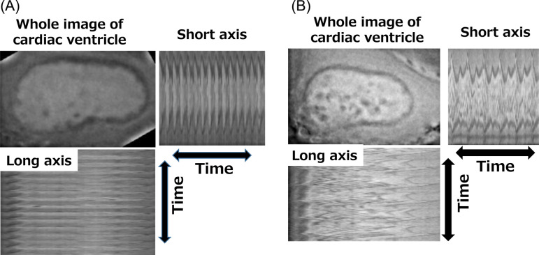 Fig. 8.