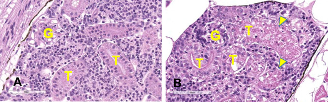 Fig. 7.