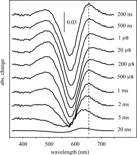 FIGURE 4