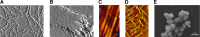 FIG. 7.