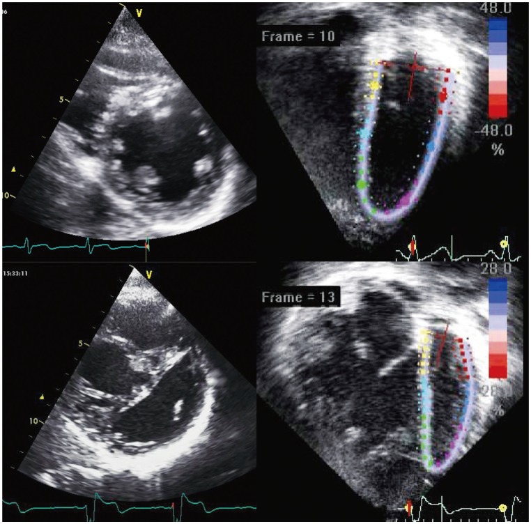 Fig. 7