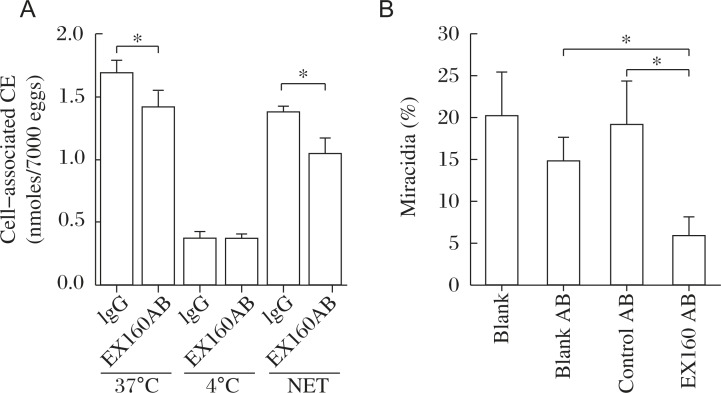 Fig. 11