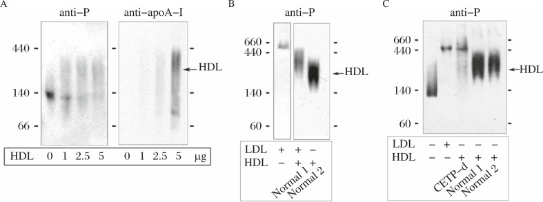 Fig. 10