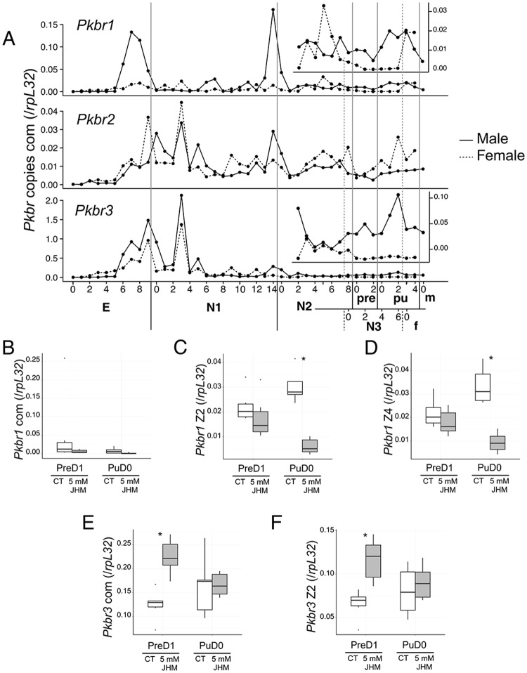 Fig 5