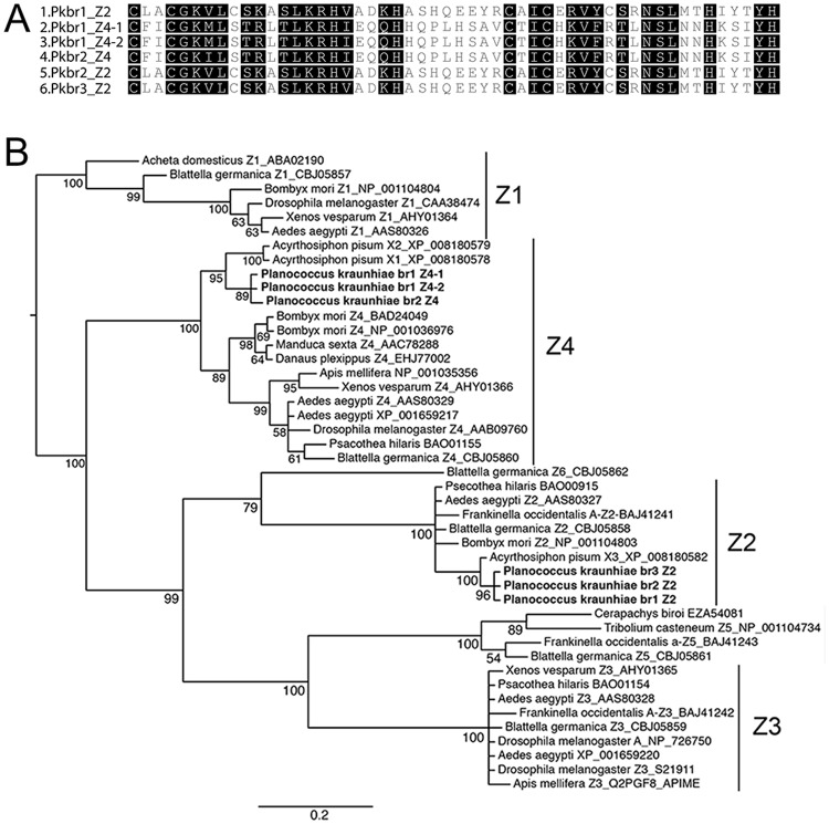 Fig 4