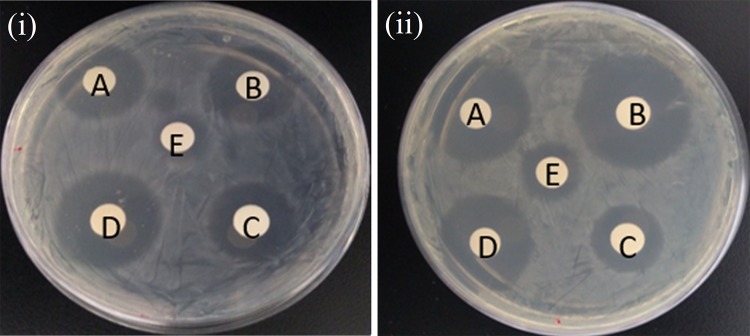 Fig. 9