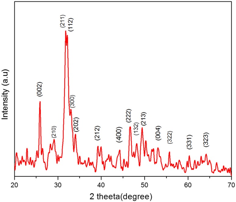 Fig. 1