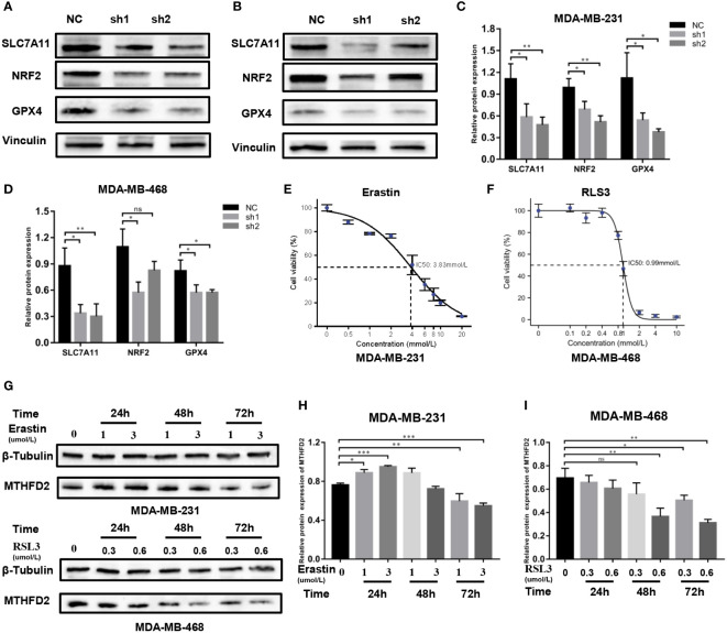 Figure 11