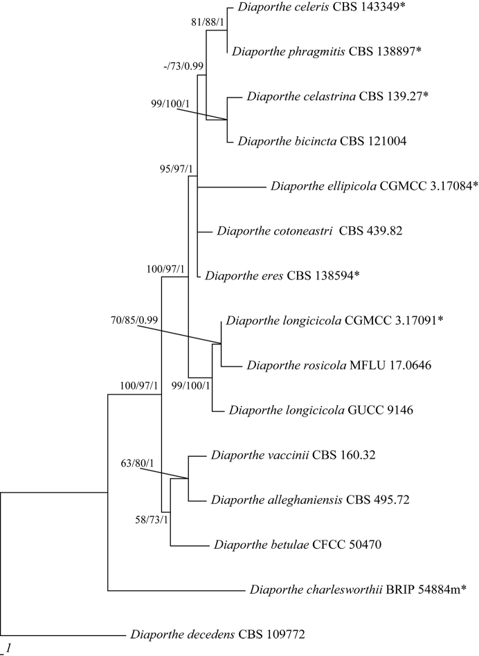 Figure 2.