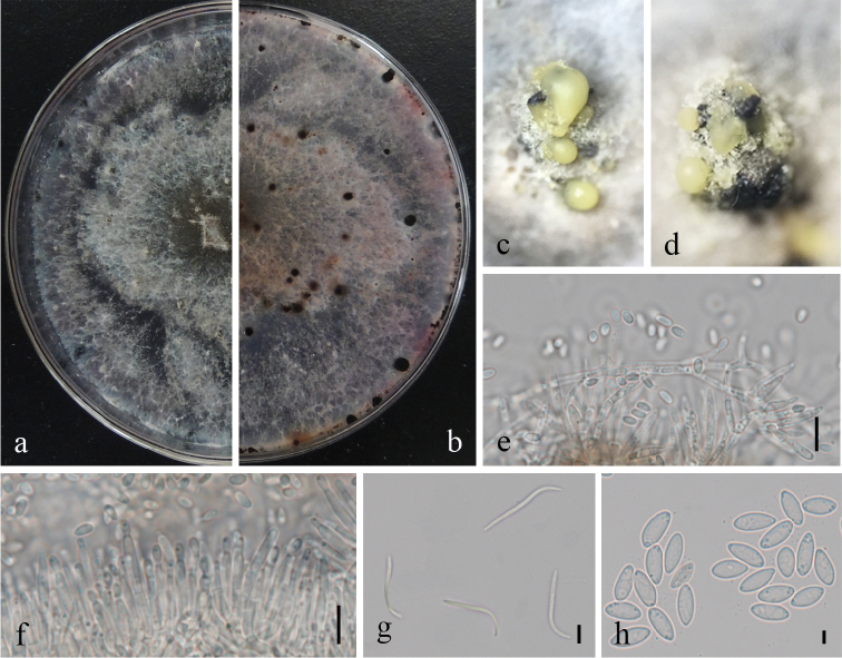 Figure 3.