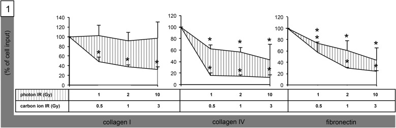 Fig. 1.