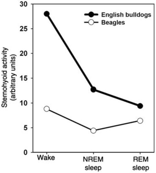 Figure 19