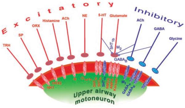 Figure 18