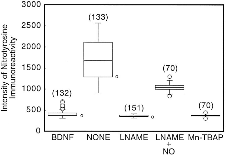 Fig. 10.