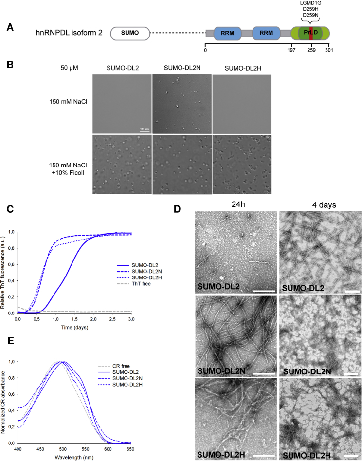 Figure 6