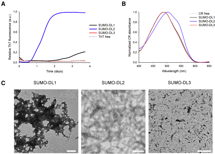 Figure 5