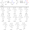 Scheme 2