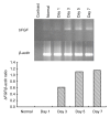 Fig. 10