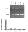 Fig. 12
