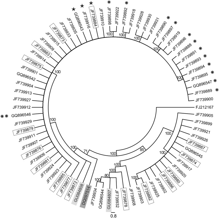 Fig. 10