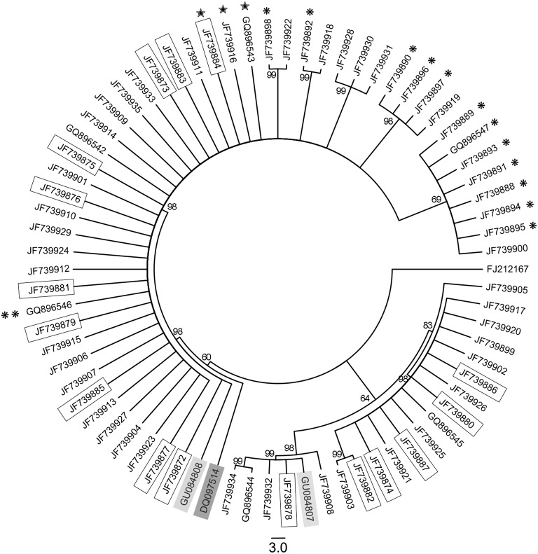 Fig. 9