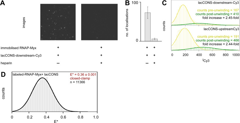 Figure 2—figure supplement 1.