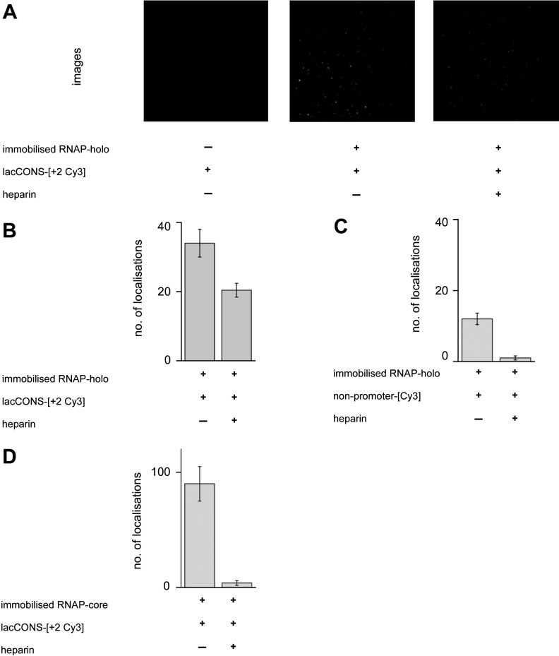 Figure 1—figure supplement 2.