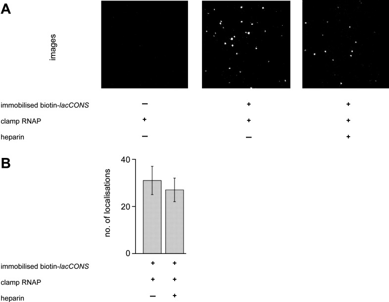 Figure 3—figure supplement 1.