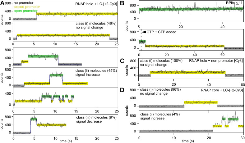 Figure 1—figure supplement 3.