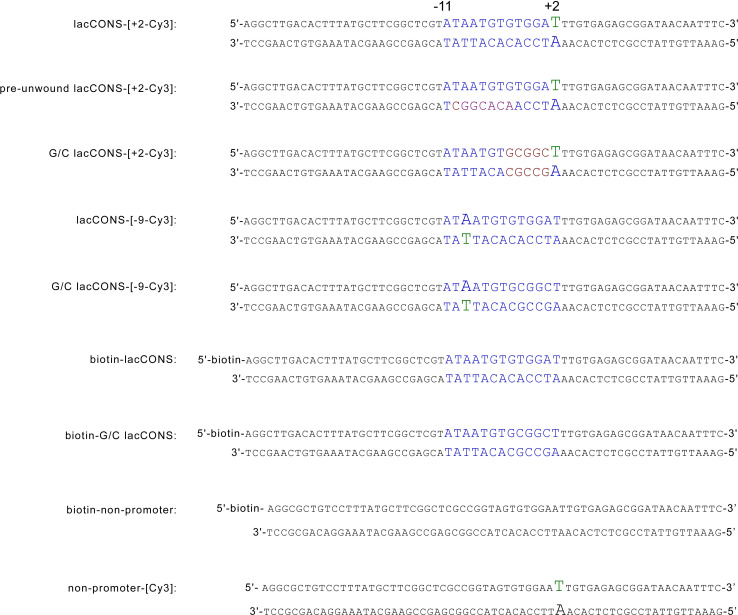 Figure 1—figure supplement 1.