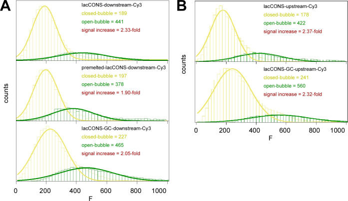 Figure 1—figure supplement 4.