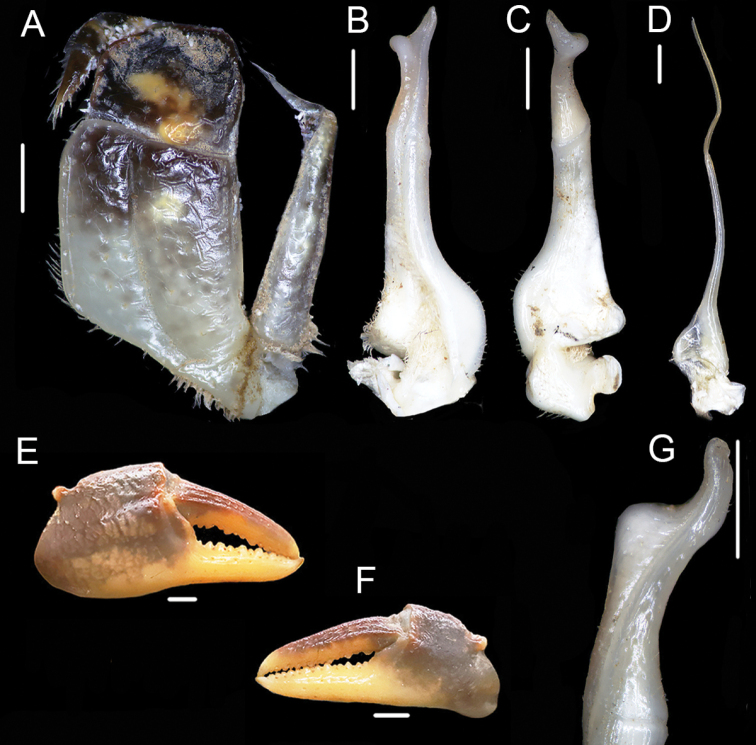 Figure 5.