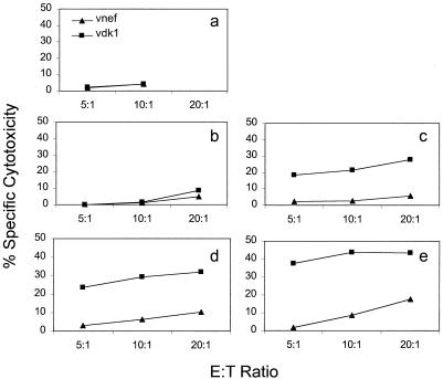 FIG. 6