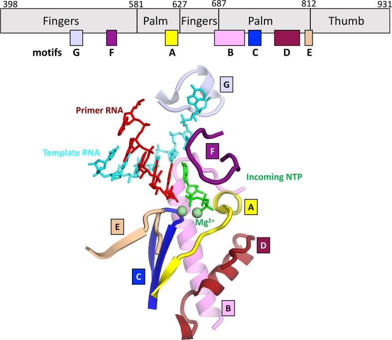 Fig. 4