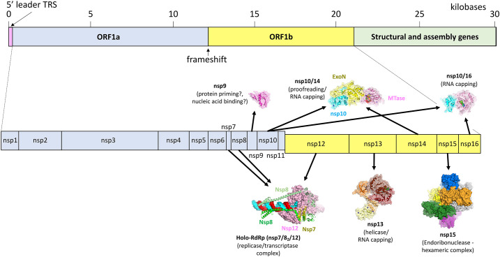 Fig. 1