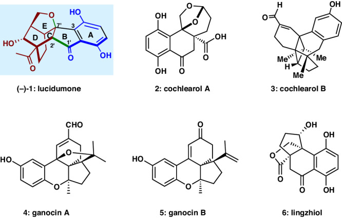 Fig. 1