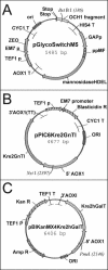 FIG. 3.