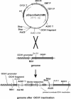 FIG. 2.