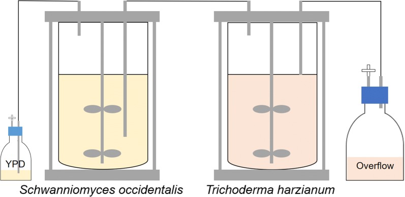 Fig. 1