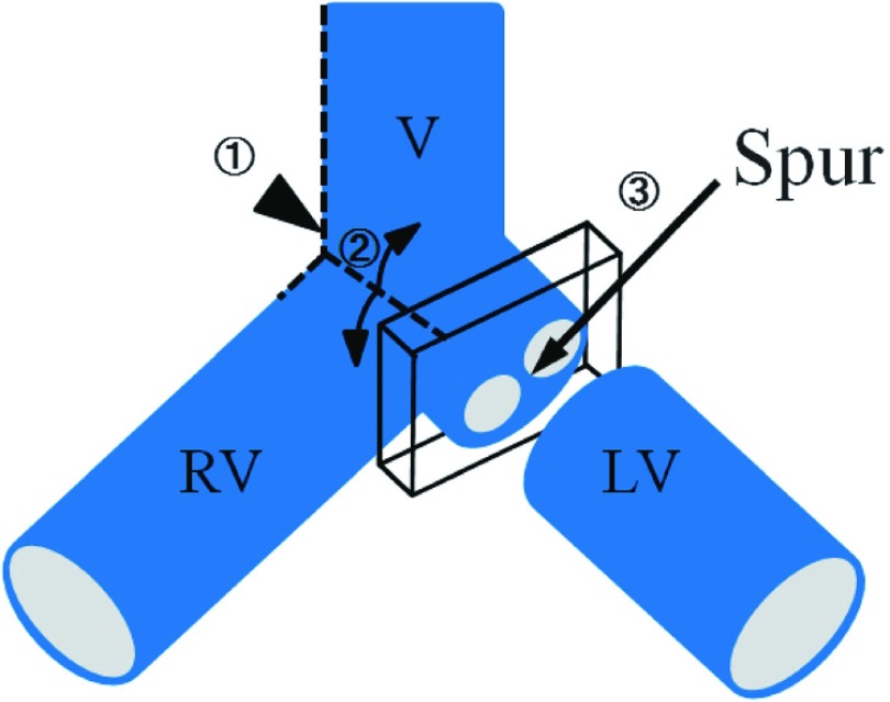 Fig. 1