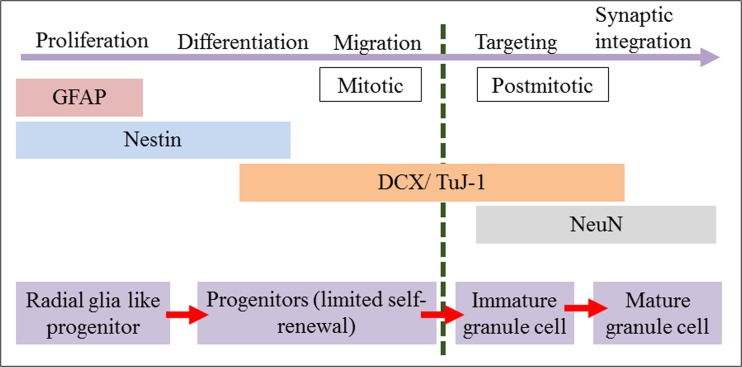 Fig. 9