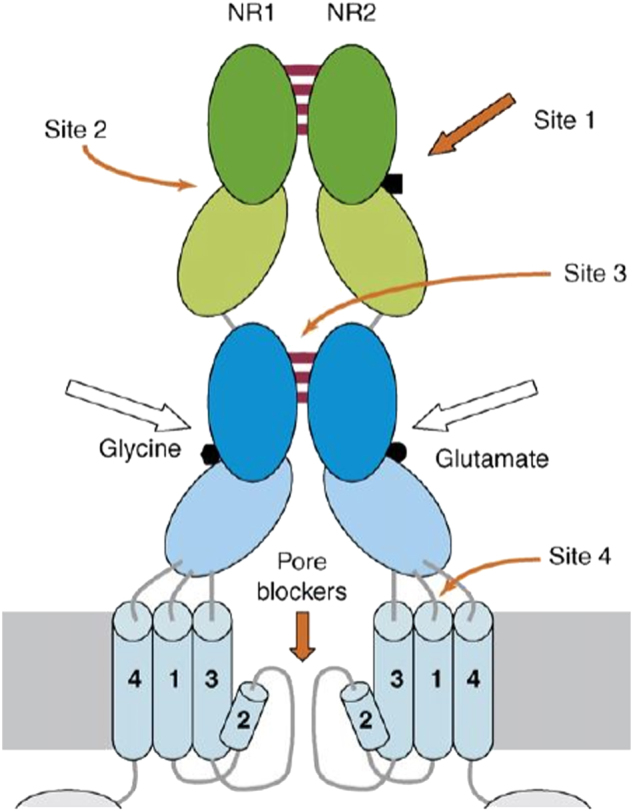 Fig. 1