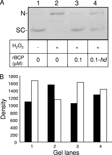 FIG. 8.