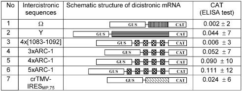 graphic file with name gkh176t5.jpg