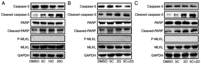 Figure 5.