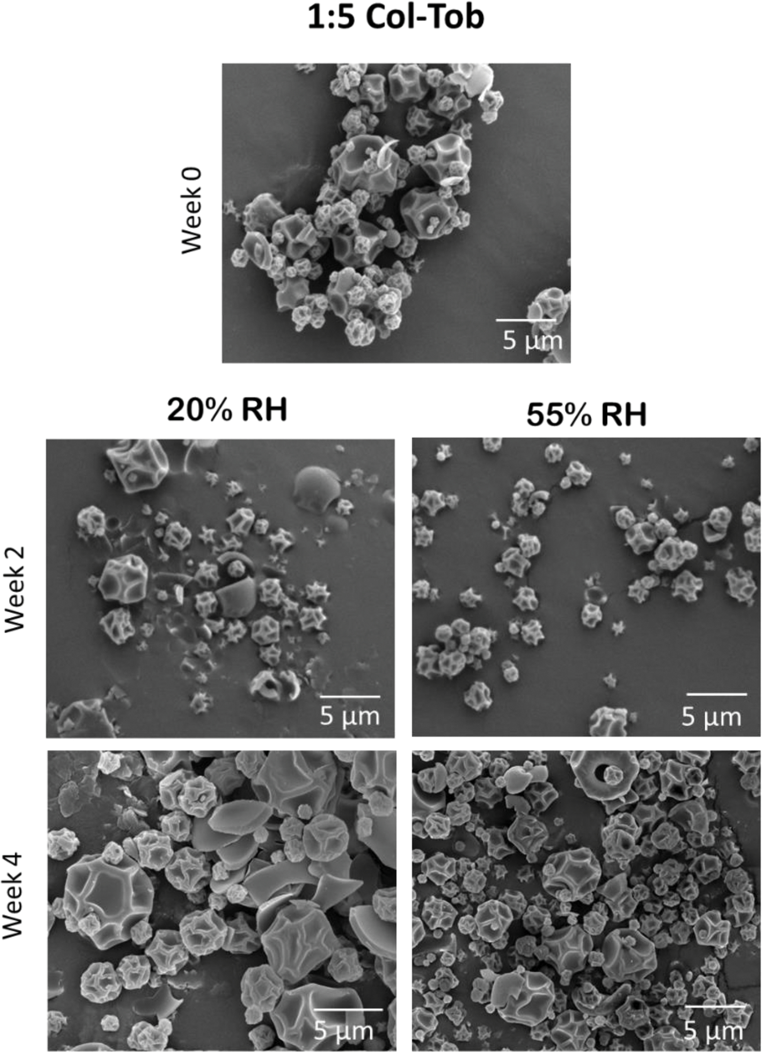 Fig. 10