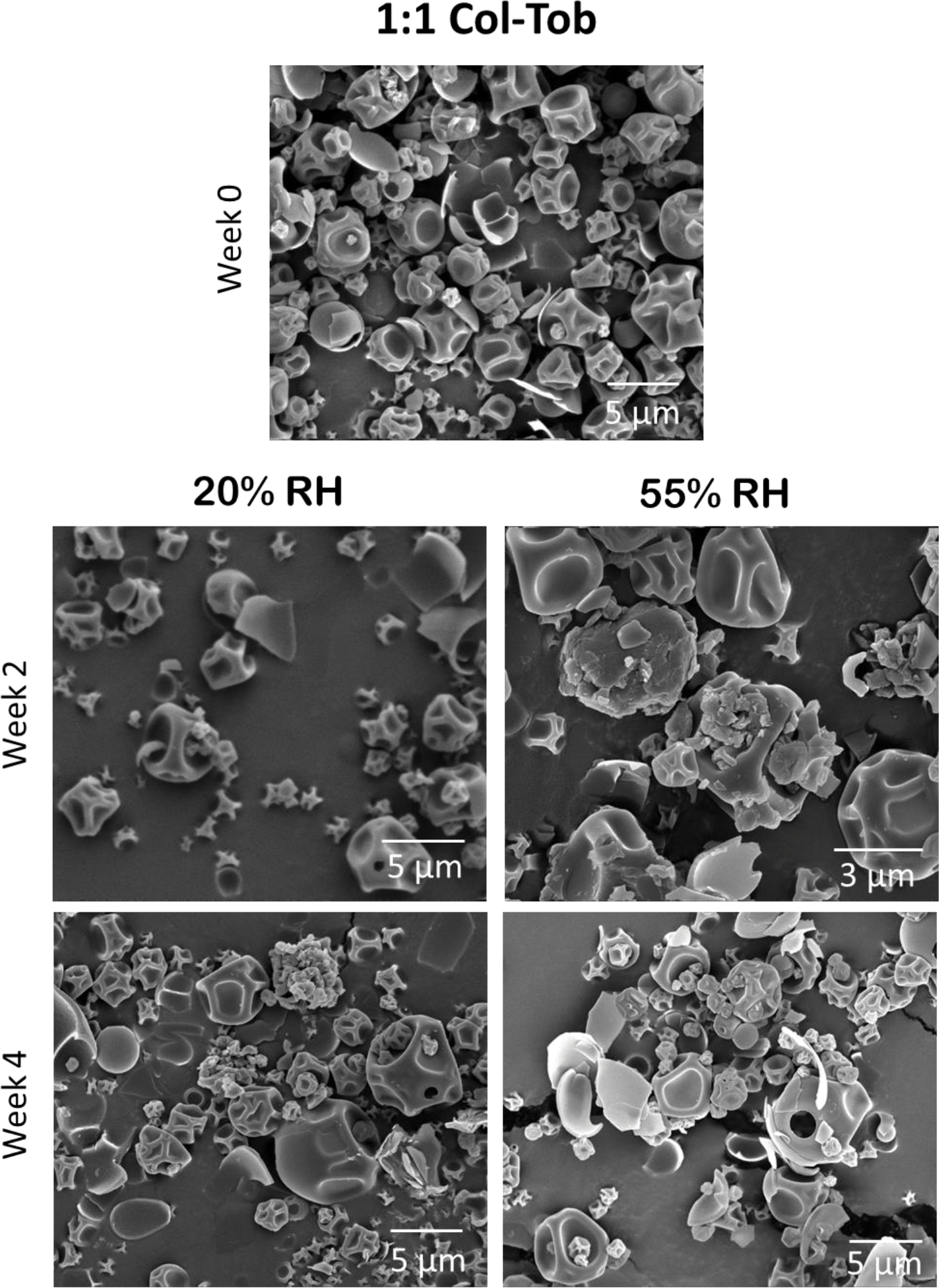 Fig. 9